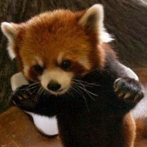 Meet your Posher, Abby